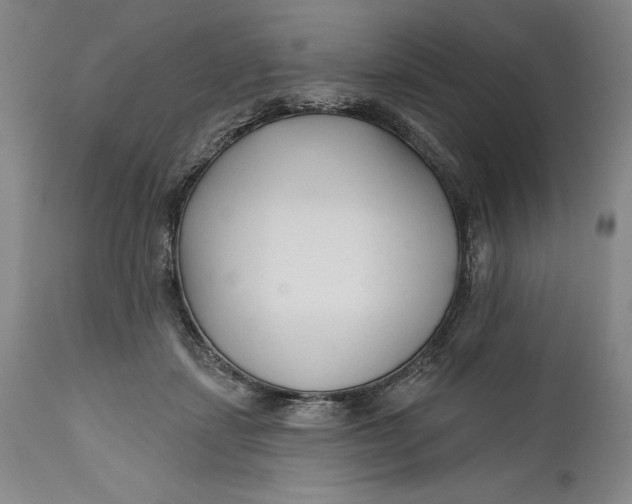 X0000111670459200908071501