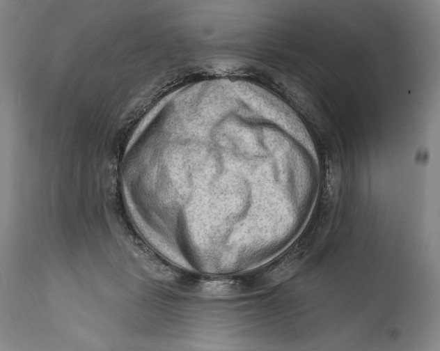 X0000111670461200908071501