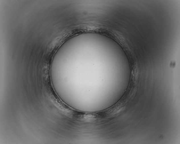 X0000111670462200908071501