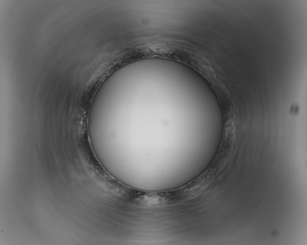 X0000111670464200908071501