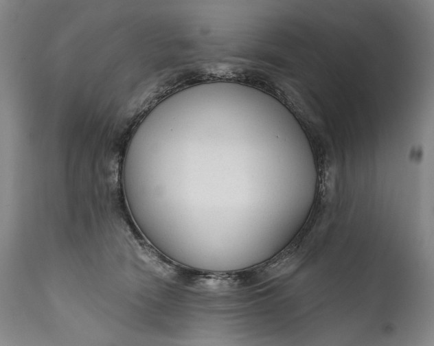 X0000111670466200908071501