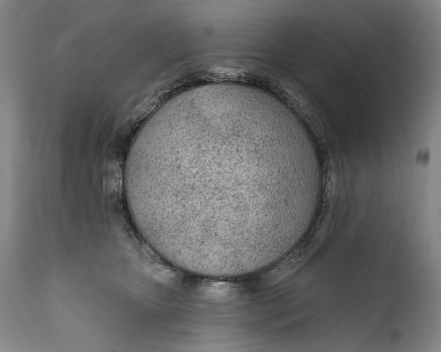 X0000111670467200908071501