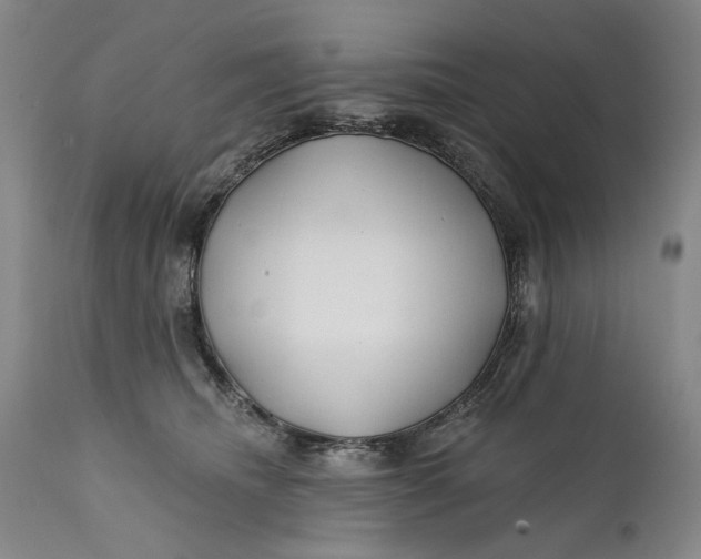 X0000111670468200908071501