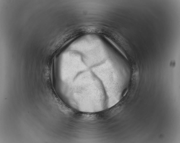 X0000111670469200908071501