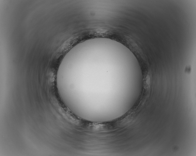 X0000111670472200908071501