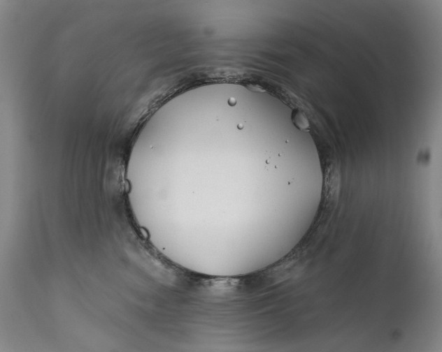 X0000111670474200908071501