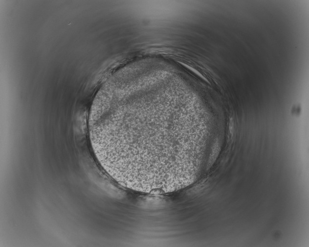 X0000111670475200908071501