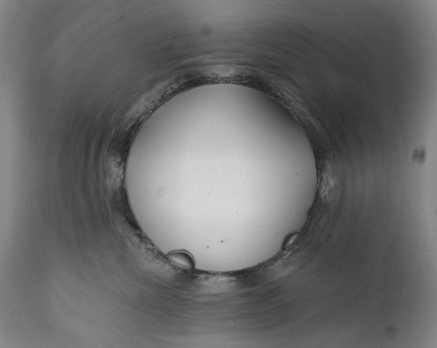 X0000111670476200908071501