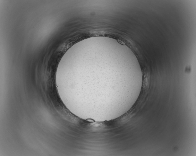 X0000111670477200908071501