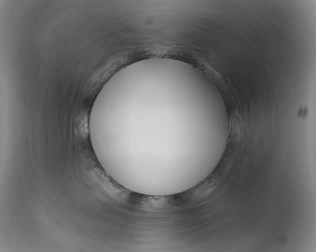 X0000111670479200908071501