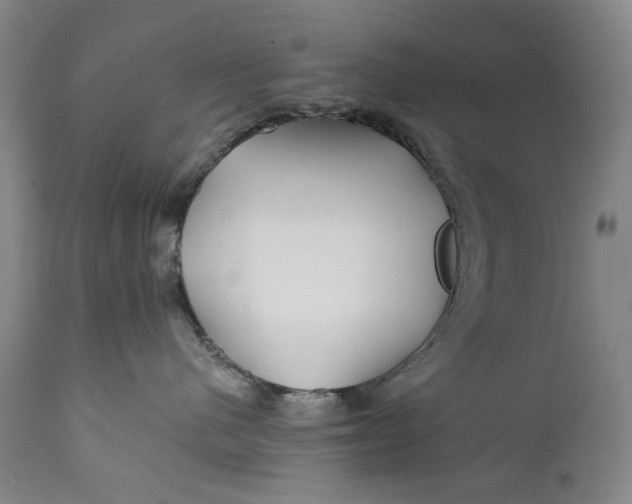 X0000111670480200908071501