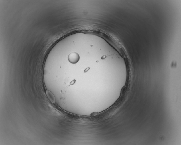 X0000111670481200908071501