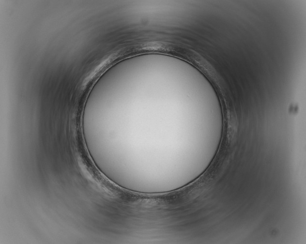 X0000111670482200908071501