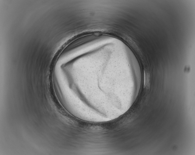 X0000111670483200908071501