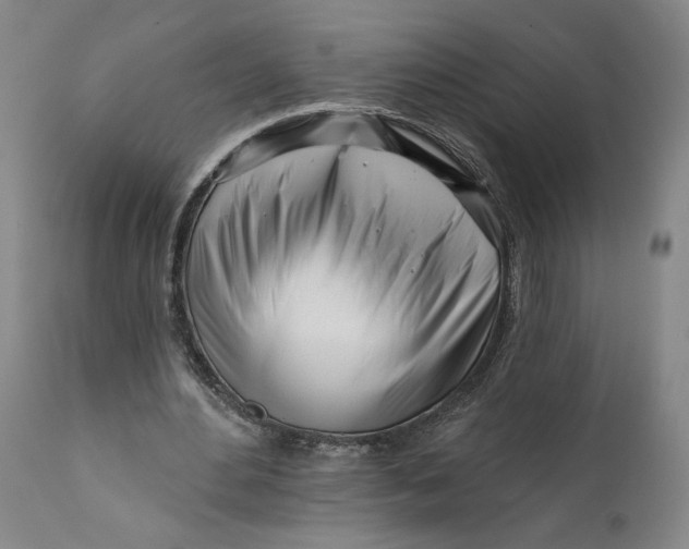 X0000111670484200908071501