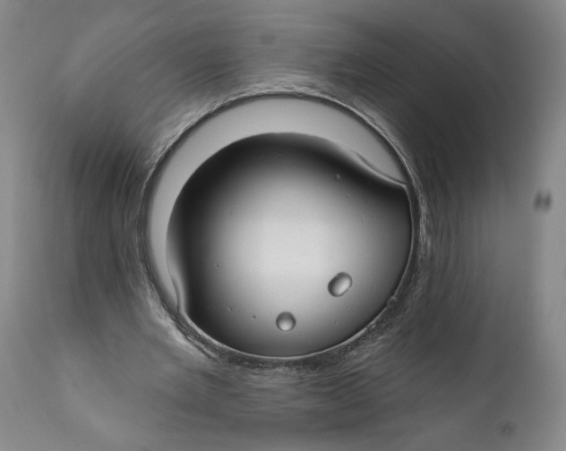 X0000111670485200908071501