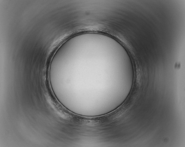 X0000111670486200908071501