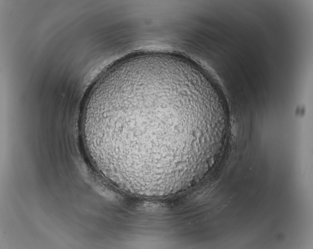 X0000111670487200908071501