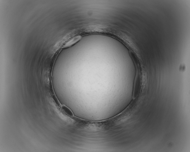 X0000111670489200908071501