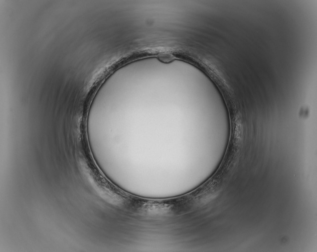 X0000111670491200908071501