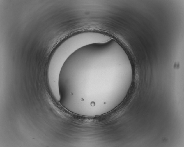 X0000111670493200908071501