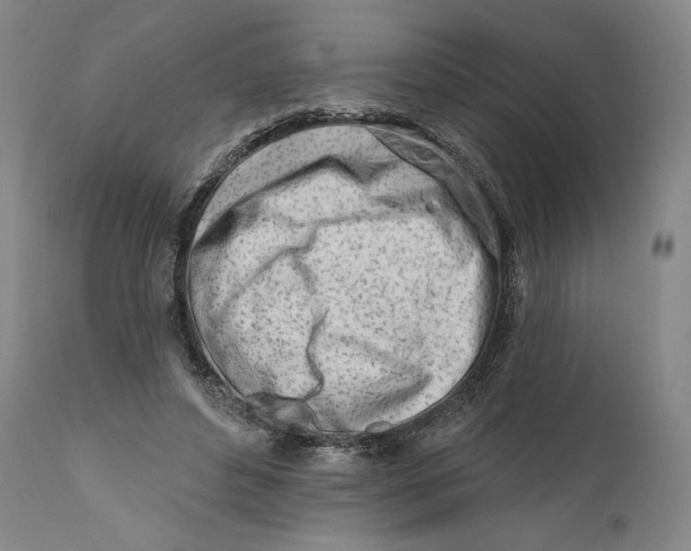 X0000111670496200908071500