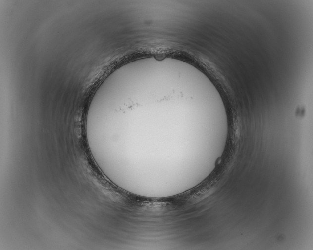 X0000111670497200908071500