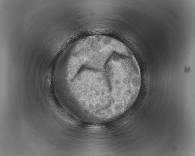 X0000111670499200908071500