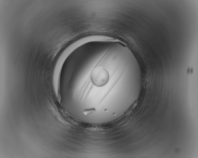 X0000111670500200908071500