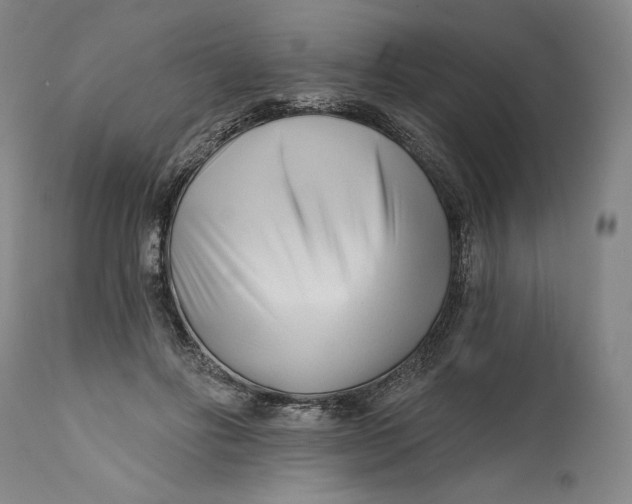 X0000111670502200908071500