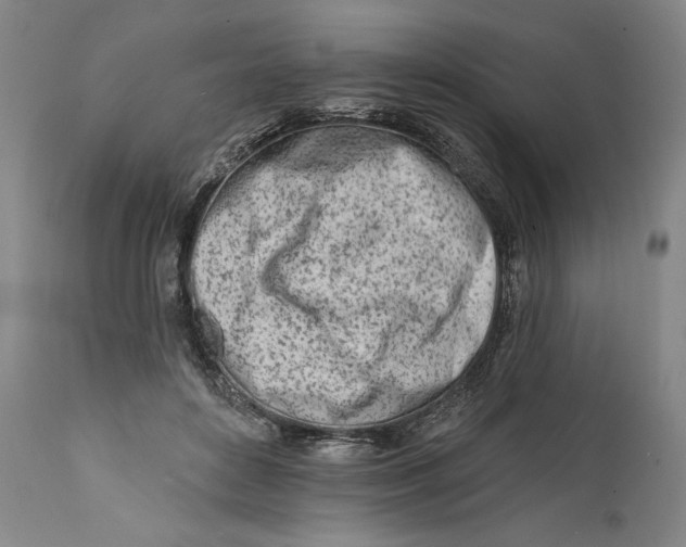 X0000111670504200908071500