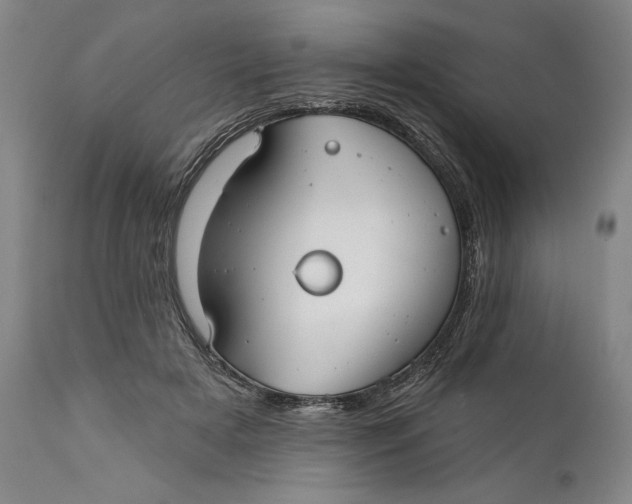 X0000111670505200908071500