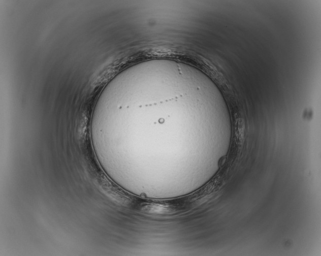 X0000111670507200908071500