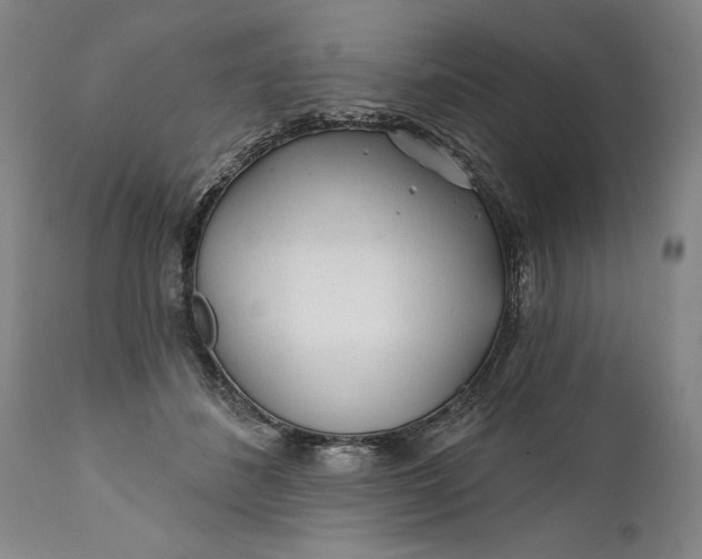 X0000111670508200908071500