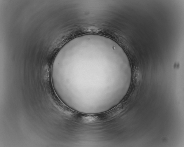 X0000111670511200908071500