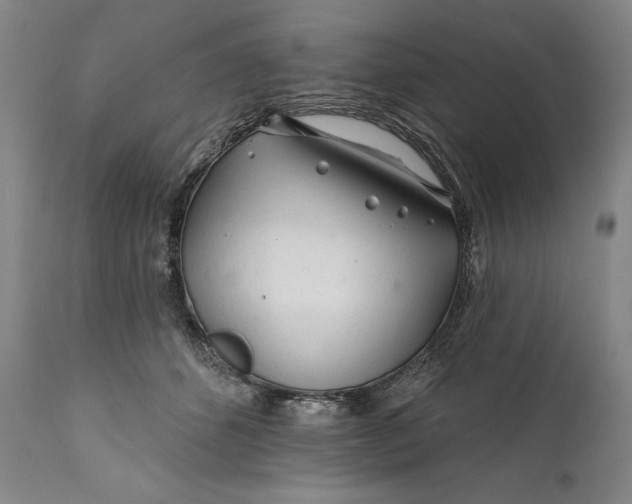 X0000111670512200908071500