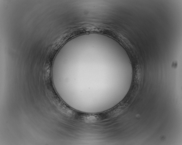 X0000111670513200908071500