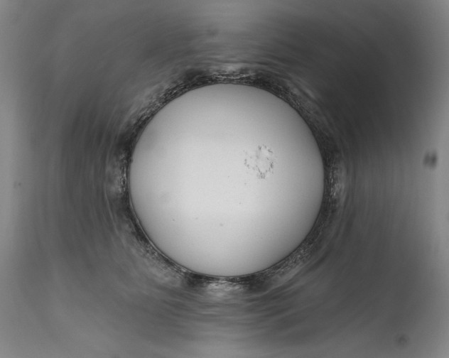 X0000111670515200908071500