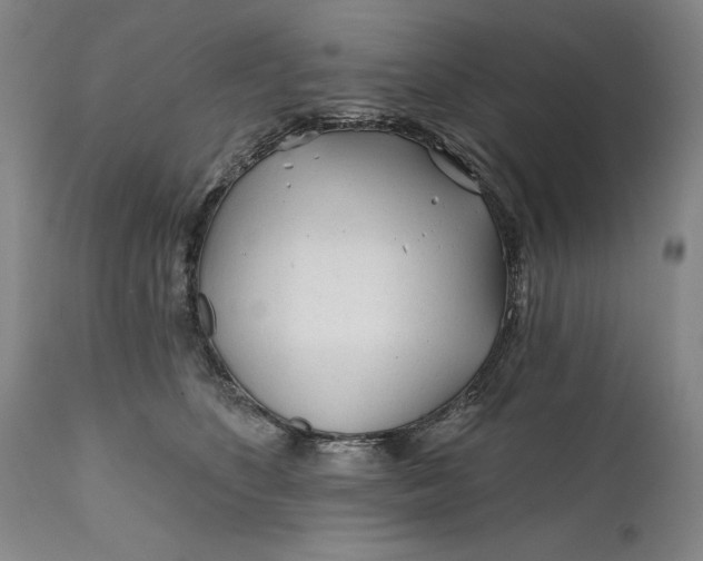 X0000111670516200908071500