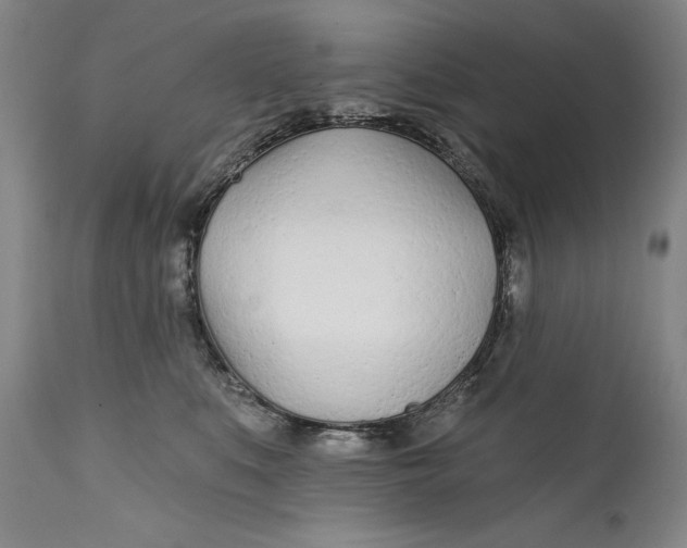 X0000111670519200908071500