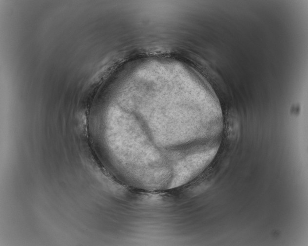 X0000111670523200908071500