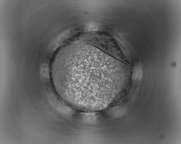 X0000111670524200908071500