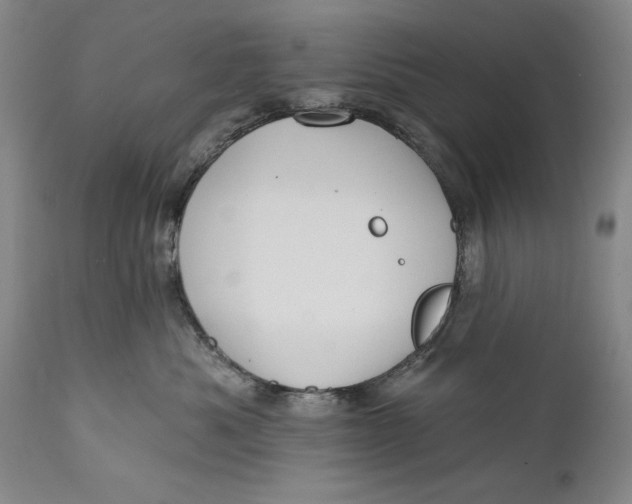 X0000111670525200908071500