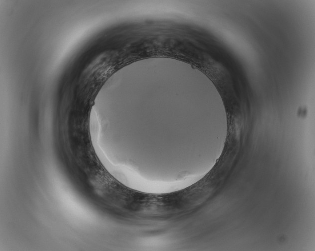 X0000111670526200908071500