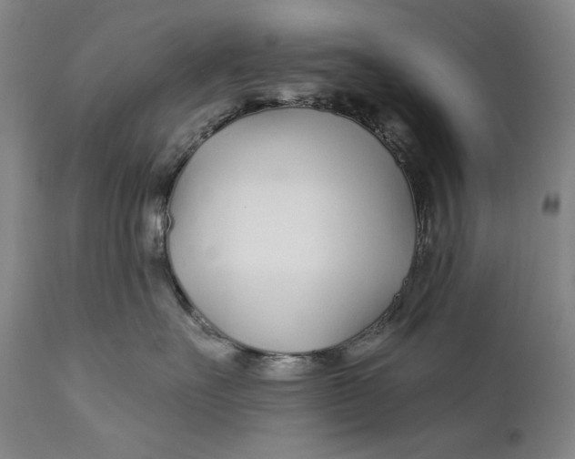 X0000111670527200908071500