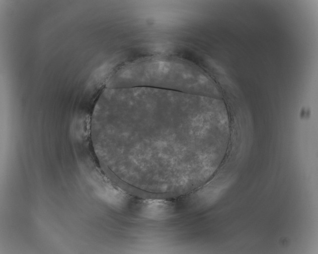 X0000111670528200908071500