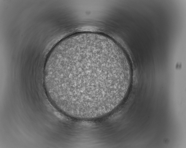 X0000111670529200908071459