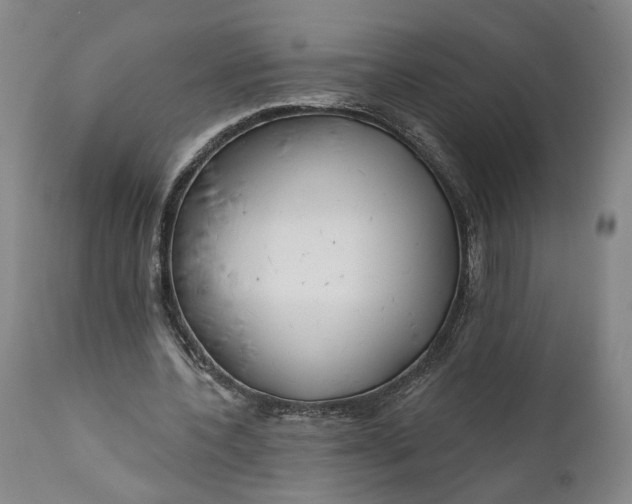 X0000111670532200908071459