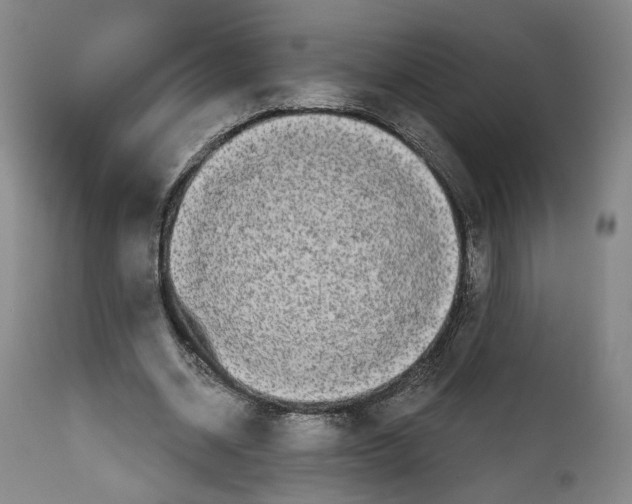 X0000111670534200908071459