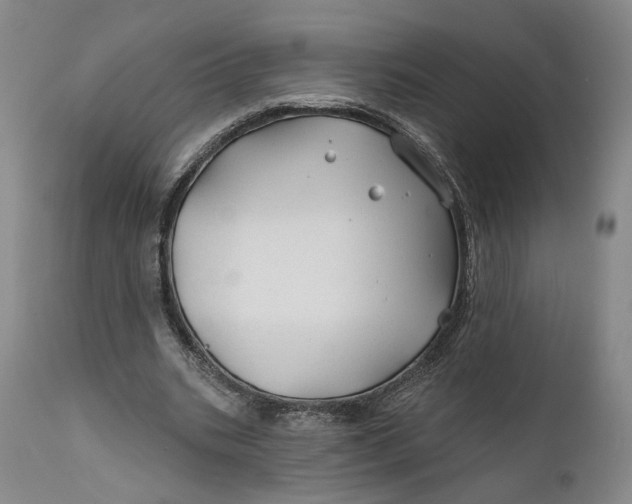 X0000111670535200908071459